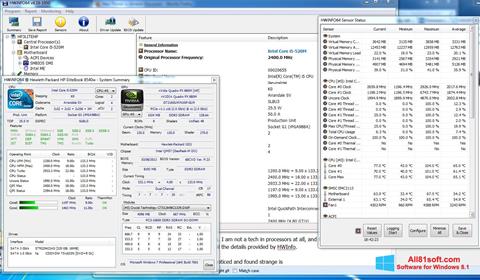 Captura de pantalla HWiNFO para Windows 8.1