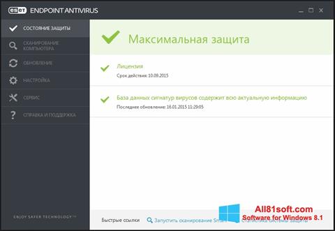 Captura de pantalla ESET Endpoint Antivirus para Windows 8.1