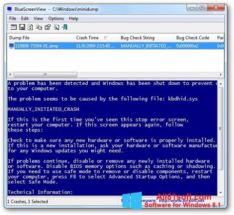 Captura de pantalla BlueScreenView para Windows 8.1
