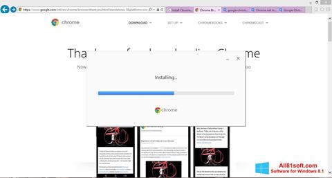 Captura de pantalla Google Chrome Offline Installer para Windows 8.1