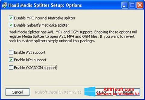 Captura de pantalla Haali Media Splitter para Windows 8.1