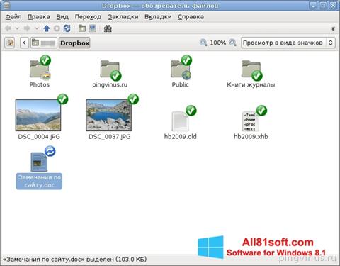 Captura de pantalla Dropbox para Windows 8.1