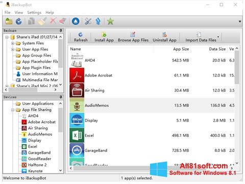 Captura de pantalla iBackupBot para Windows 8.1