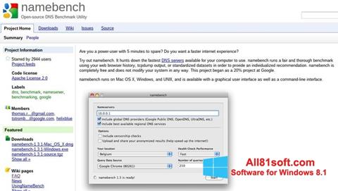 Captura de pantalla NameBench para Windows 8.1
