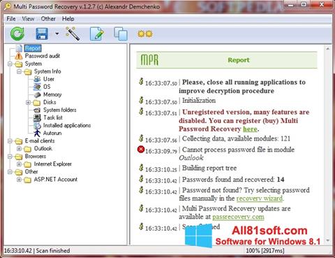 Captura de pantalla Multi Password Recovery para Windows 8.1