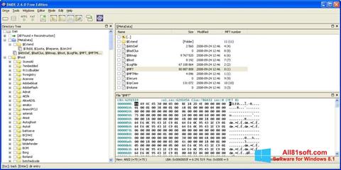 Captura de pantalla DMDE para Windows 8.1