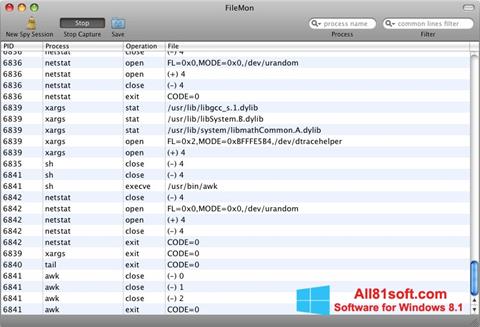 Captura de pantalla FileMon para Windows 8.1