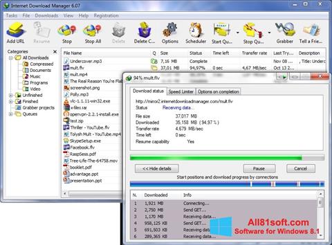 Captura de pantalla Internet Download Manager para Windows 8.1
