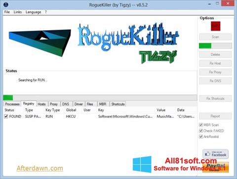 Captura de pantalla RogueKiller para Windows 8.1