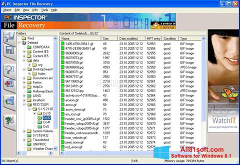 Captura de pantalla PC Inspector File Recovery para Windows 8.1
