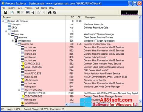 Captura de pantalla Process Explorer para Windows 8.1