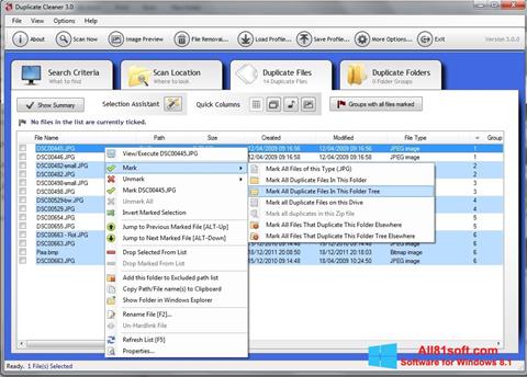 Captura de pantalla Duplicate Cleaner para Windows 8.1