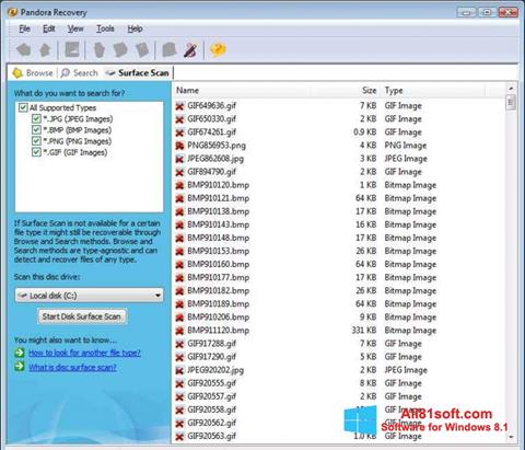 Captura de pantalla Pandora Recovery para Windows 8.1