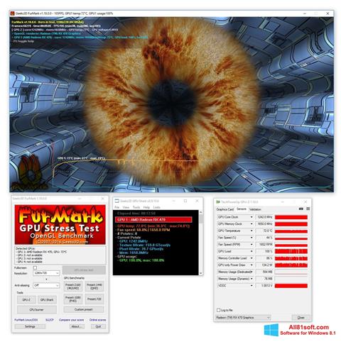 Captura de pantalla FurMark para Windows 8.1