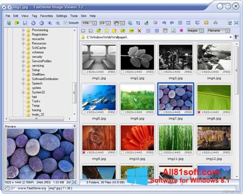 Captura de pantalla FastStone Image Viewer para Windows 8.1