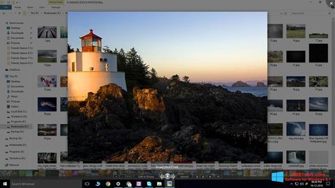 Captura de pantalla Picasa Photo Viewer para Windows 8.1
