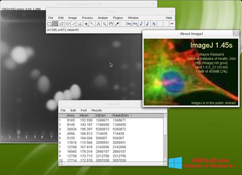 Captura de pantalla ImageJ para Windows 8.1