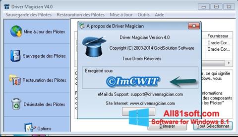 Captura de pantalla Driver Magician para Windows 8.1