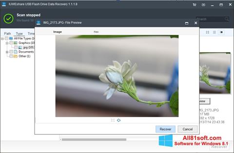 Captura de pantalla USB Flash Drive Recovery para Windows 8.1